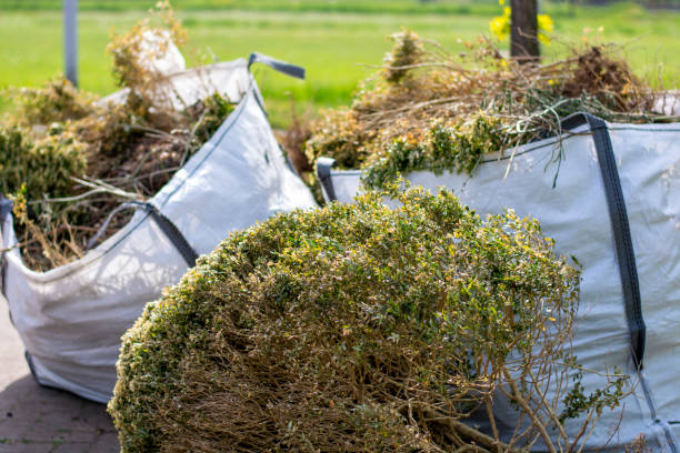 Professional Junk Removal Services in Wallace Ridge, LA